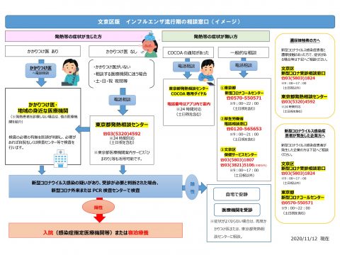 インフルエンザ流行時期に備え、新型コロナの相談・検査体制が新しくなりました。